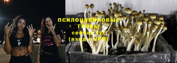 каннабис Осинники
