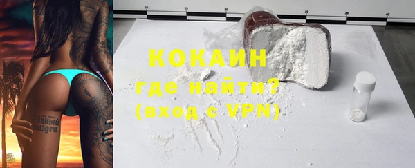 мдпв Осташков