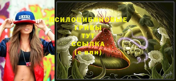 мдпв Осташков