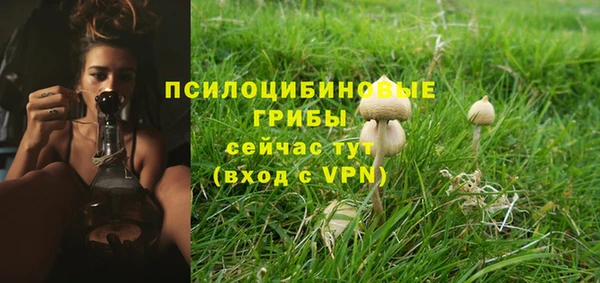 каннабис Осинники
