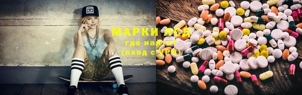 мдпв Осташков