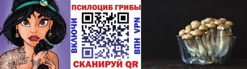 Галлюциногенные грибы мухоморы  Сорск 